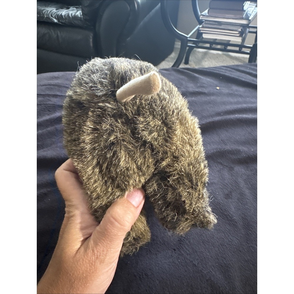Steiff Wutzi‎ Wild Boar Plush Knopf Im Ohr 2675/20 Germany Brown Eyes Tusks - Picture 11 of 12